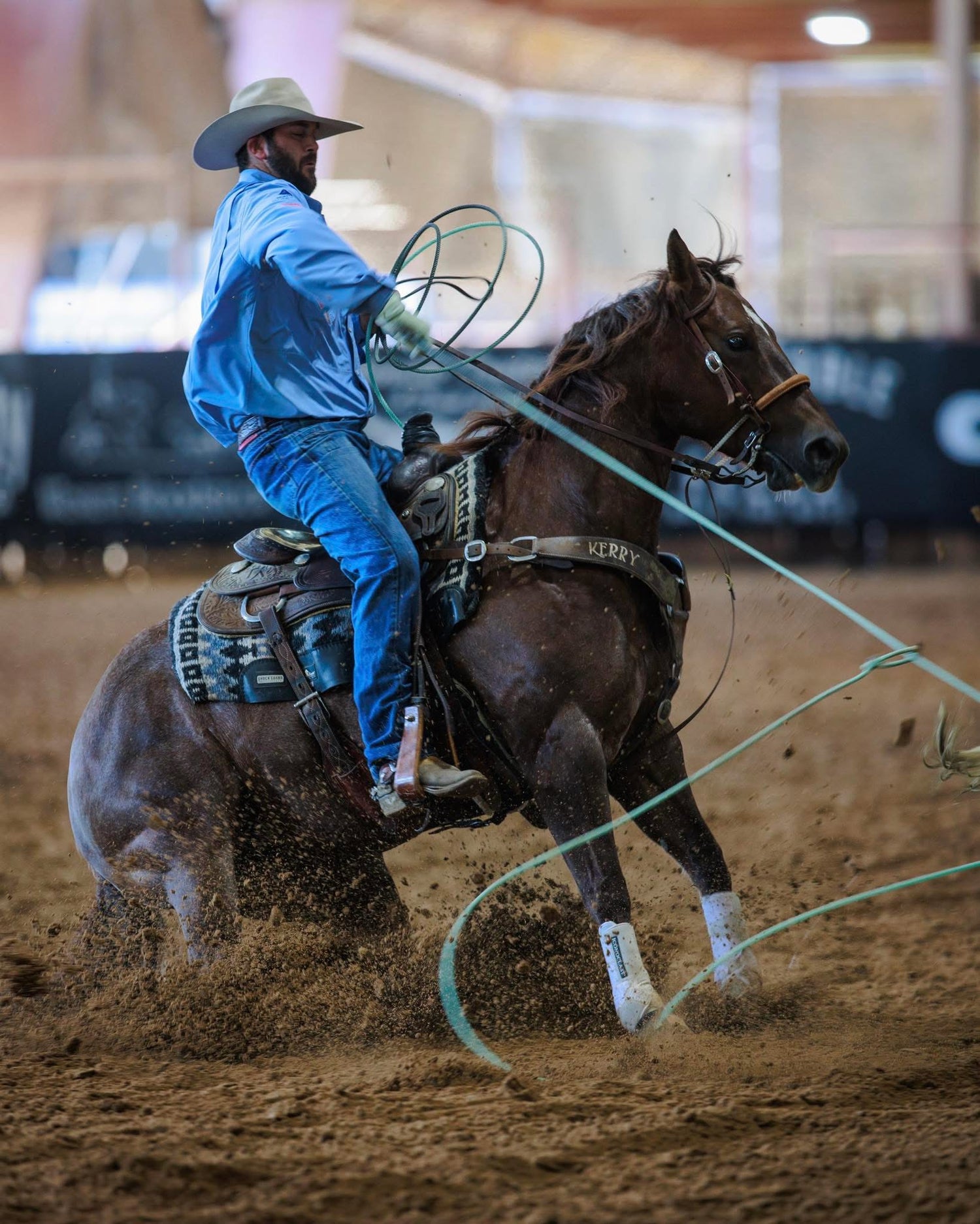 Equine Performance & Recovery